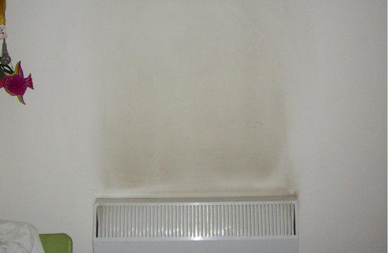 辦公室墻面養護、保護